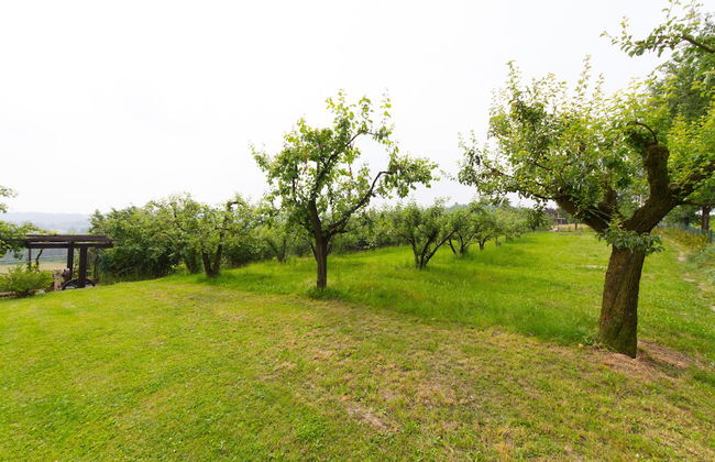 B&B Naturin - Cascina Colombaro - Photo 16