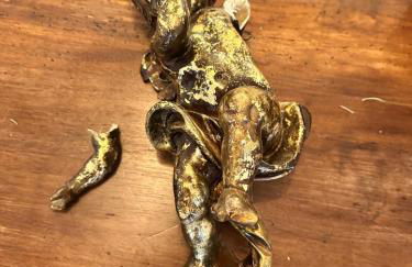 Giardino Toscano - Photo 11