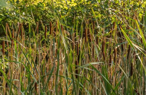 Hensill Farmhouse - Foto 34