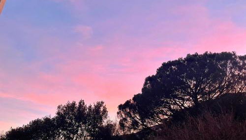 Le Petit Chateau - Foto 4