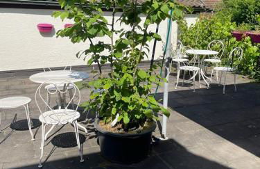 Ferienwohnungen Calwer Höfle - Foto 10