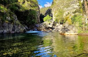 Areal Guest House - Foto 38