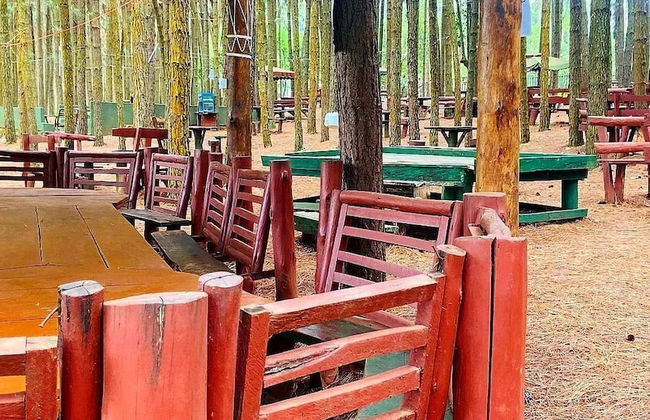 Nyungu Yamawe Forest Park - Foto 2