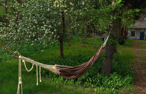 Augustówka - letnisko na Wrzosowiskach - Foto 6