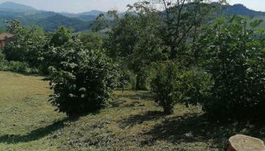 Cottage Belvedere - Foto 3