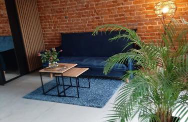 Apartamenty Gliwice Staromiejska 65 - Foto 26