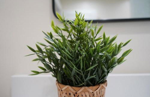 Stay at The Oak - Downtown New Braunfels Getaway - Foto 20