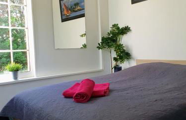 Studio avec jardin-Proche LDLC-Groupama Stadium-Eurexpo-métro - Foto 2