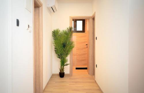 Lux & View - Sveta Nedjelja - Foto 55