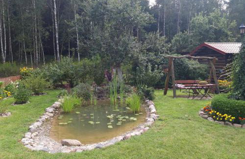 Pokoje w lesie - Foto 18