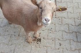 Gästehaus By George - Foto 16