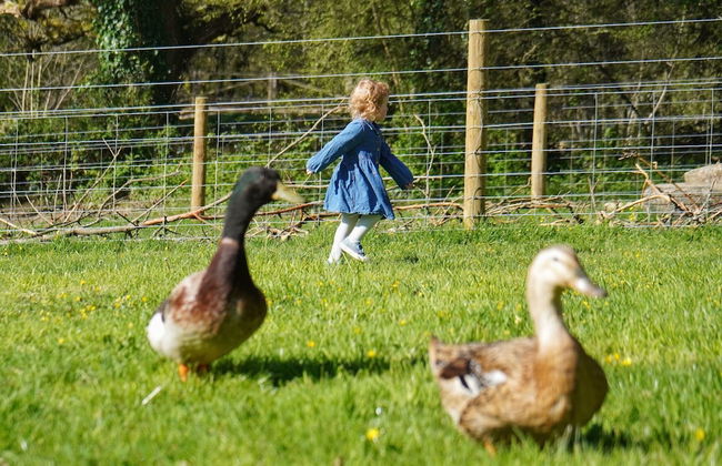 1 Bed 17th Century Stone Cottage in Rural Devon - Foto 6