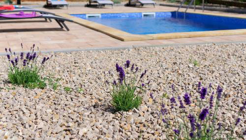 Villa Nerium - Foto 5, Garden