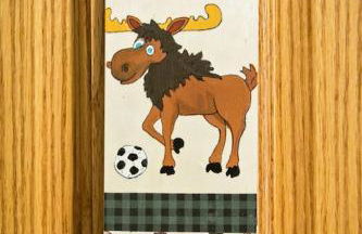 Lakefront Home, lake views, Casual Elegance, Scrapbooking! - Foto 9