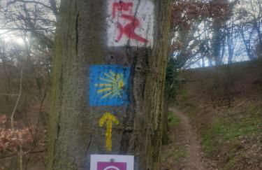 Traumpfade - Foto 14