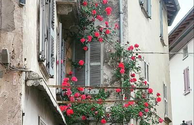 L'AIRONE - casa vacanza - Foto 19