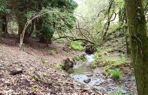 The old hayloft on 22 acre country smallholding - Foto 50