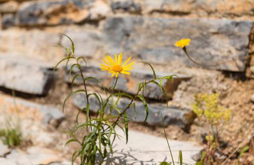 LA TORRE DEL MANGHEN: Agri-alloggio indipendente - Foto 31