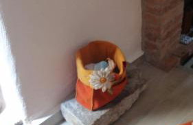 TRE METR SOPRA IL CIELO ''AcquAria'' - Foto 16