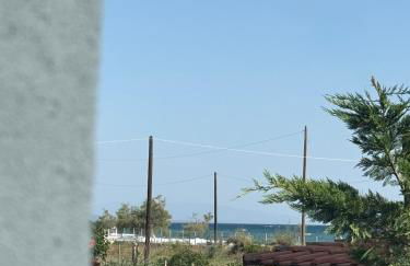 MESAGGALA PALACE No 6 - Foto 2