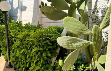 Il Pero di Casa Portacrànni - Foto 23