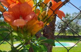 Hostal Restaurante San Martin de Montalban - Foto 65