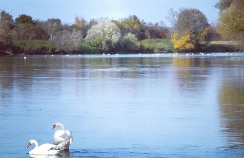 Zagreb, Kuća za odmor Swan River Holiday House - Foto 58
