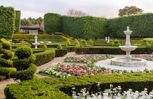 Gumnut Grove The Vintage - Foto 54