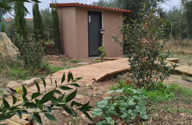 Tapada das Carvalhas - Foto 11