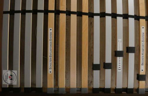 Goldener Fuchs in Moschendorf - Foto 18