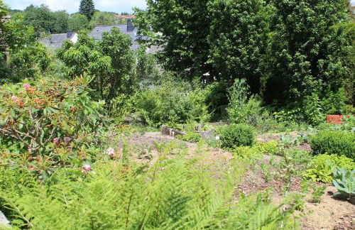 Landhaus Almyssen - Foto 33