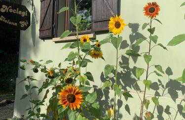 Noclegi Zielona Gęś - Foto 34