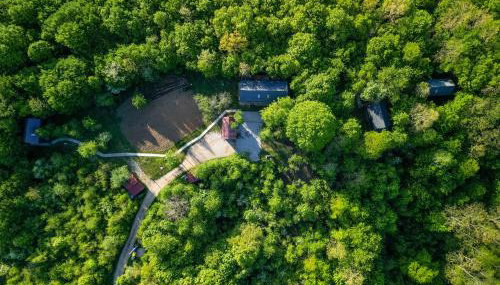 Tree Elements treehouse retreat - Foto 3