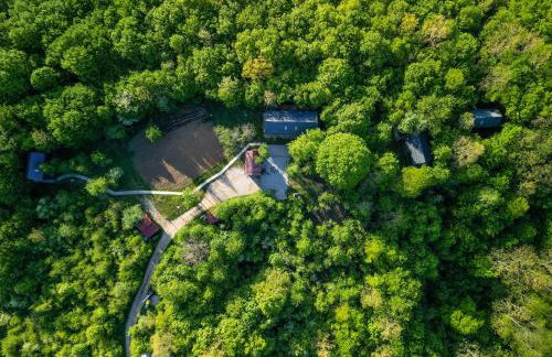 Tree Elements treehouse retreat - Foto 4