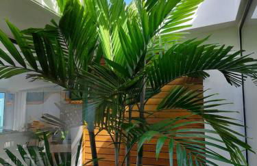 Cachito de Cielo - Foto 42