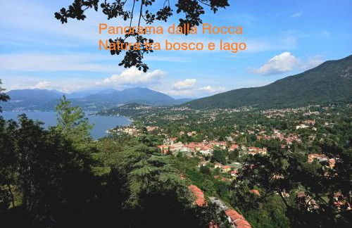 Natura tra bosco e lago - Foto 36
