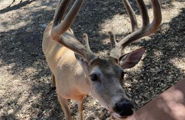 Hidden Haven - Foto 36