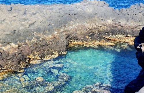 Finca Los Loros Icod de los Vinos - Foto 43