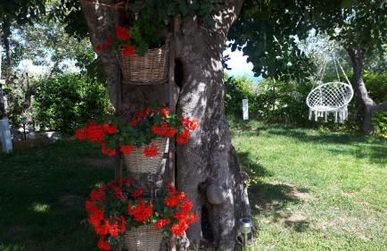B&B Case Vacanza Orchidea marina di Macchia a Mattinata Gargano - Foto 55