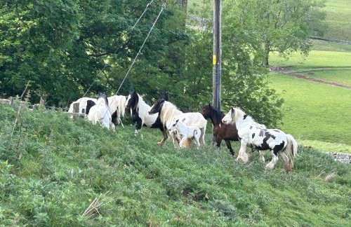 The Green Hayloft, Lakes & Dales - Photo 30