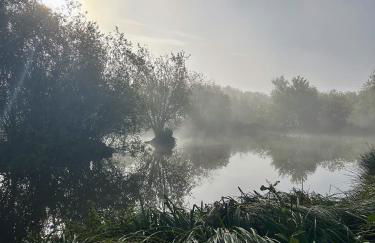 Wigeon Secluded Rustic cabin - Foto 25