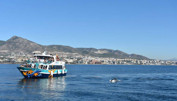 Desde el ferry, podréis contemplar delfines incluso