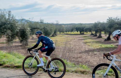 Casa Rural con piscina El Huerto del Olivo, Plasezuela, Trujillo, Cáceres - Foto 53