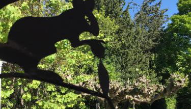 Le Mas des Figuiers - Foto 4, Garden view