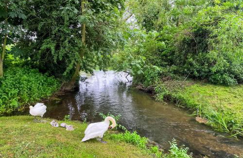 Island Lodge - Uk46767 - Foto 13