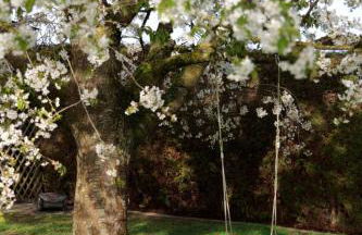 Ferienwohnung JuraSchatz - Foto 32