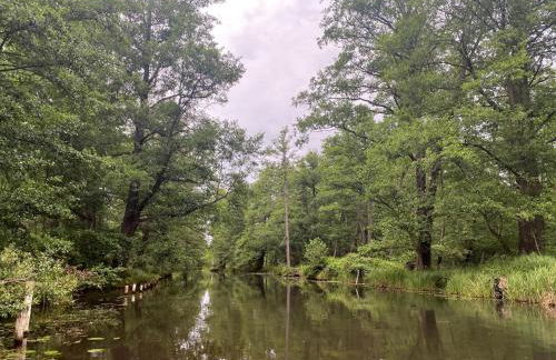 Ferienhaus im Wald, am Briesener See - Foto 15
