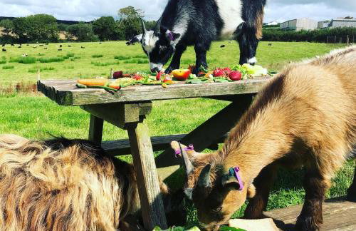 Granary Barn - Photo 14