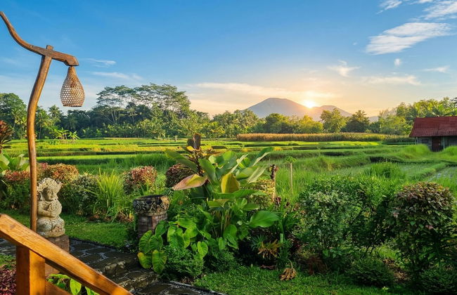 Sirya Farm House - Photo 15