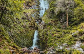 Cosy, quirky Victorian house on Waterfall Street - Foto 3